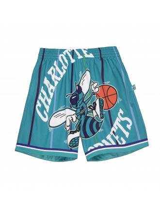 Pantaloncini Mitchell & Ness Big Face 2.0 Charlotte Hornets verde acqua