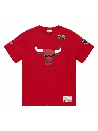 Mitchell & Ness Team Origins S/ Top Chicago Bulls Rosso